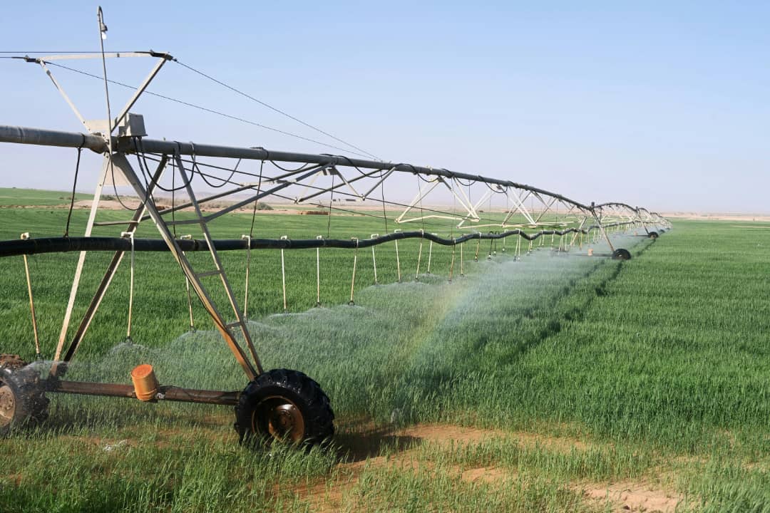 Smart Agriculture Incubator